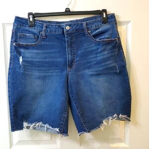 Time and Tru High Rise Denim Shorts Size 18